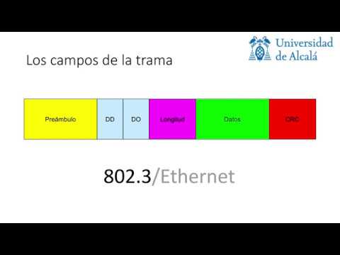 ¿Qué es la red LAN y cuál es su longitud?